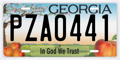 GA license plate PZA0441