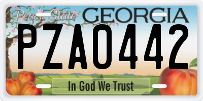 GA license plate PZA0442