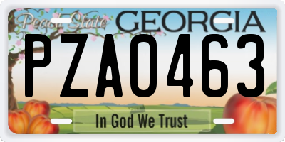 GA license plate PZA0463