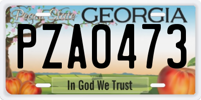 GA license plate PZA0473