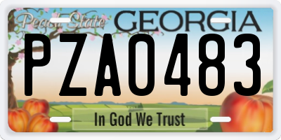 GA license plate PZA0483