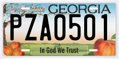 GA license plate PZA0501