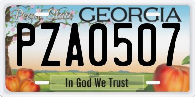 GA license plate PZA0507