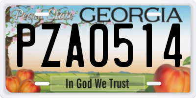 GA license plate PZA0514