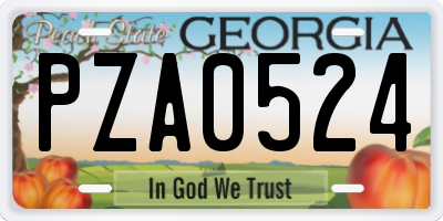 GA license plate PZA0524