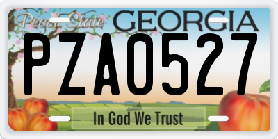 GA license plate PZA0527