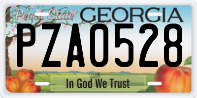 GA license plate PZA0528