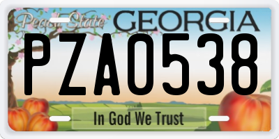 GA license plate PZA0538