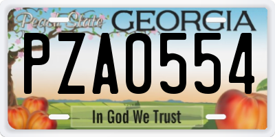 GA license plate PZA0554