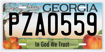 GA license plate PZA0559