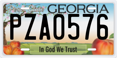 GA license plate PZA0576