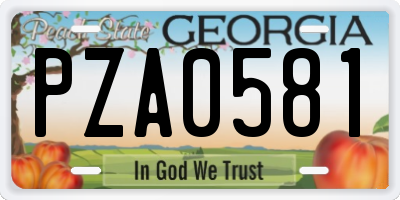 GA license plate PZA0581