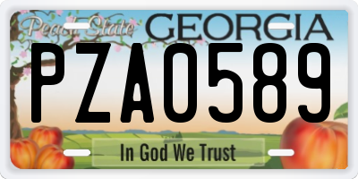 GA license plate PZA0589