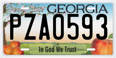 GA license plate PZA0593