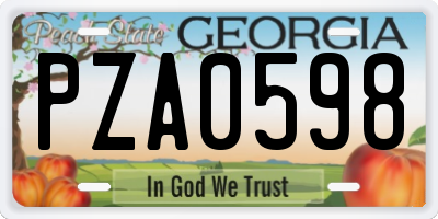 GA license plate PZA0598