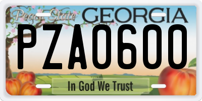 GA license plate PZA0600