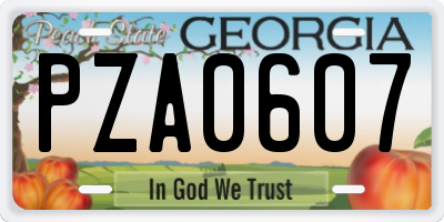 GA license plate PZA0607
