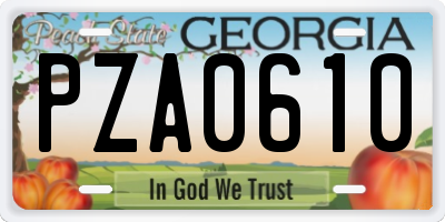 GA license plate PZA0610