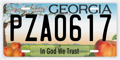 GA license plate PZA0617
