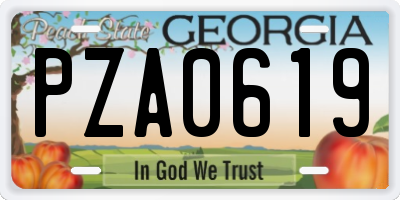 GA license plate PZA0619