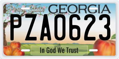 GA license plate PZA0623
