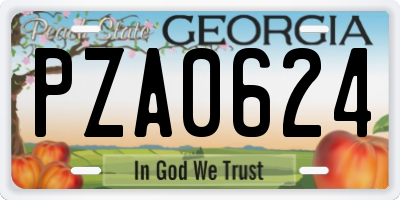 GA license plate PZA0624