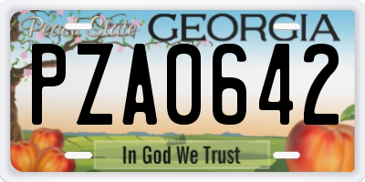 GA license plate PZA0642