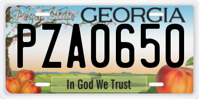 GA license plate PZA0650
