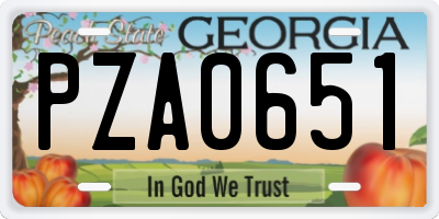 GA license plate PZA0651