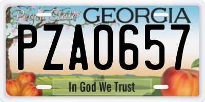 GA license plate PZA0657