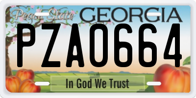 GA license plate PZA0664