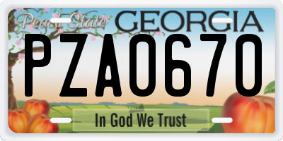 GA license plate PZA0670