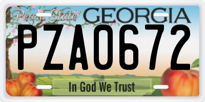 GA license plate PZA0672