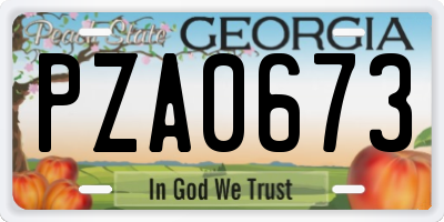 GA license plate PZA0673