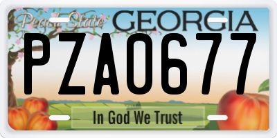 GA license plate PZA0677