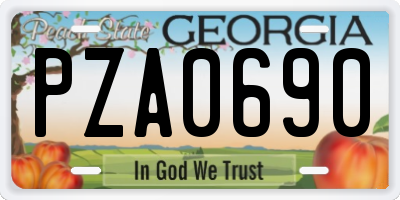 GA license plate PZA0690