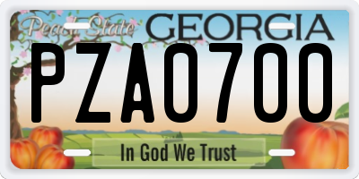 GA license plate PZA0700