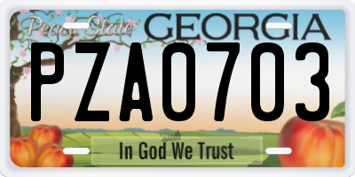 GA license plate PZA0703