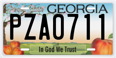 GA license plate PZA0711