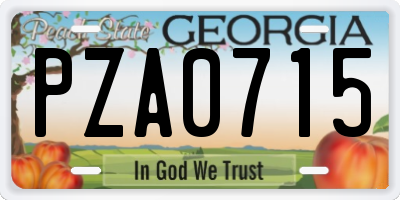 GA license plate PZA0715