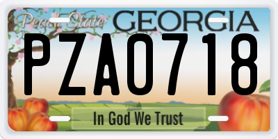 GA license plate PZA0718