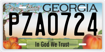 GA license plate PZA0724