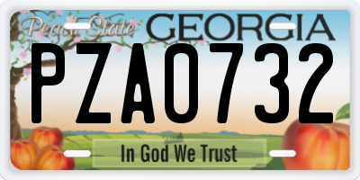 GA license plate PZA0732
