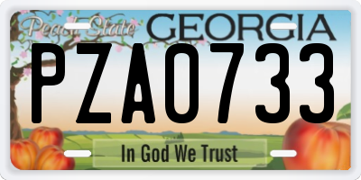 GA license plate PZA0733