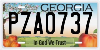 GA license plate PZA0737