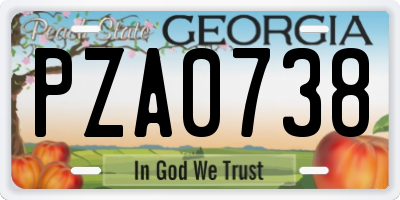 GA license plate PZA0738