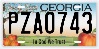 GA license plate PZA0743
