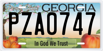 GA license plate PZA0747