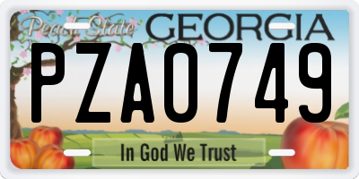 GA license plate PZA0749