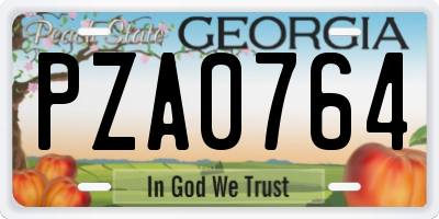 GA license plate PZA0764